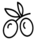 Oliwki